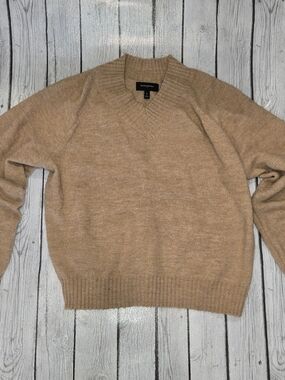 Banana Republic Womens Came V-Neck Wool-Blend Sweater Large